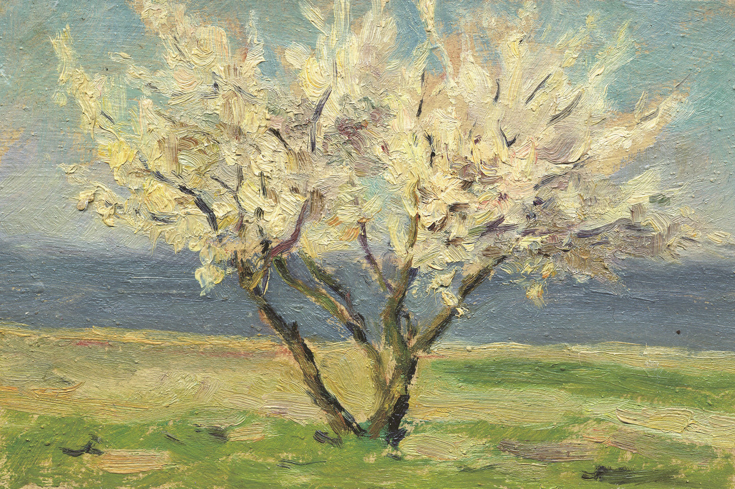 Landscape blossom tree on the river bank. 1951.