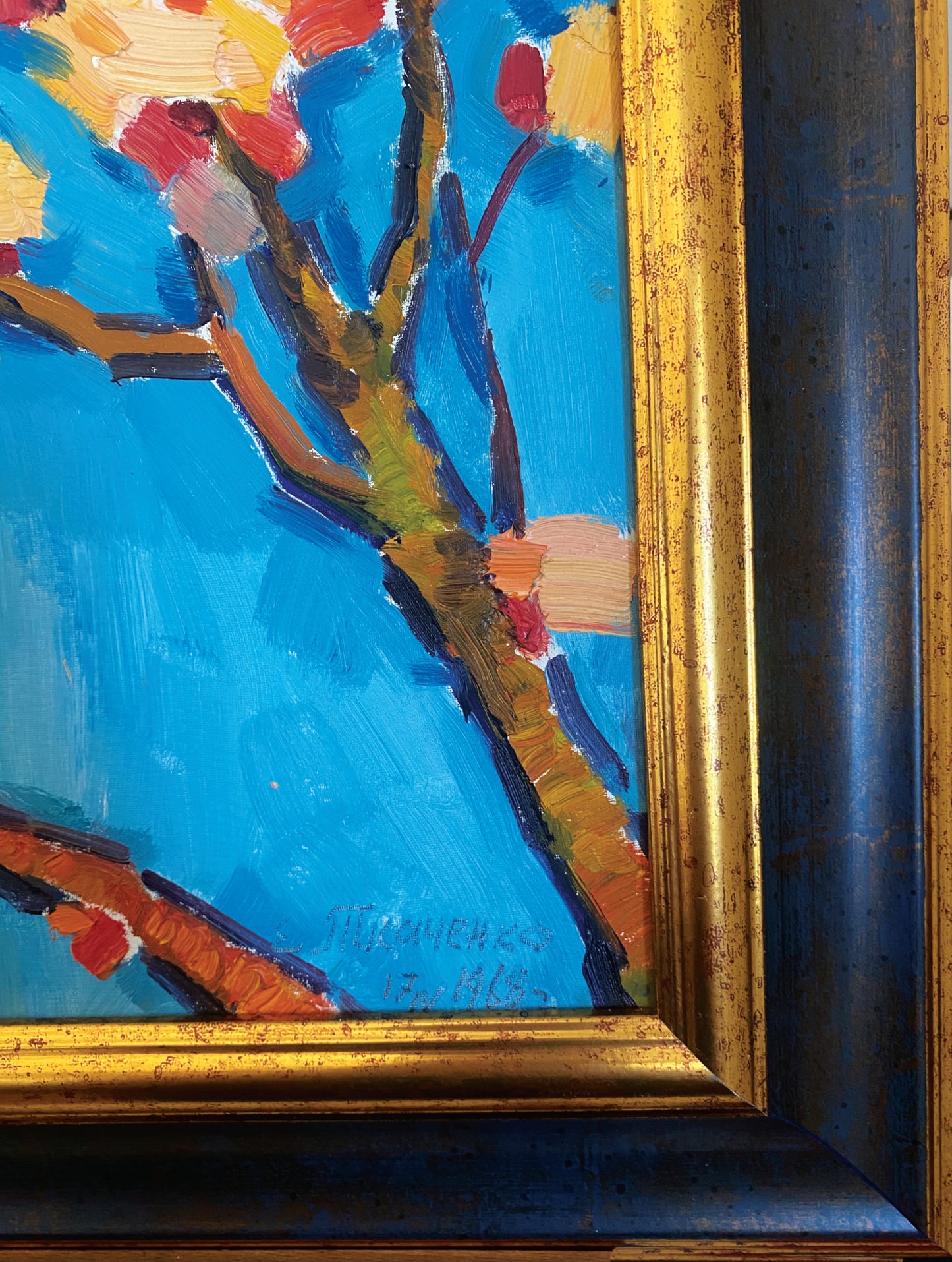 Blühender Aprikosenbaum. 1968.