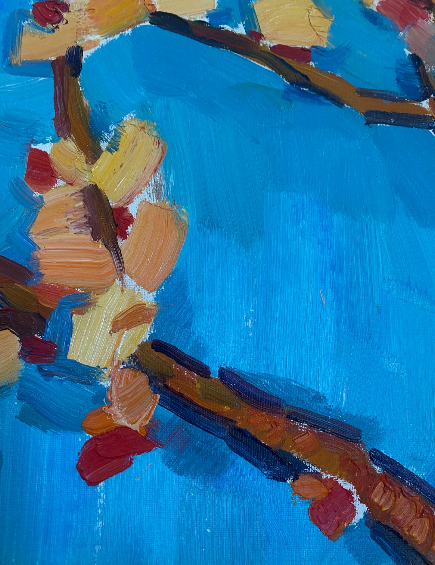 Blühender Aprikosenbaum. 1968.