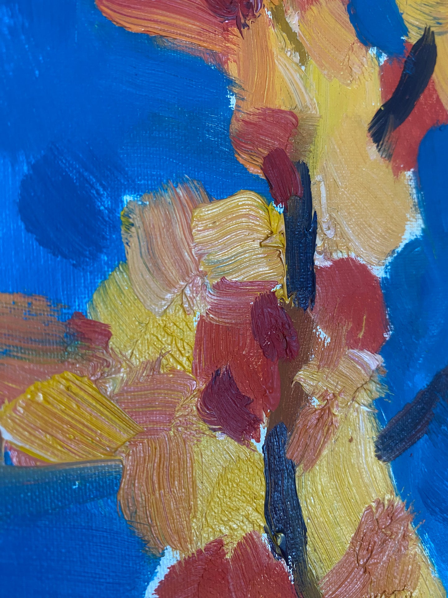Blühender Aprikosenbaum. 1968.