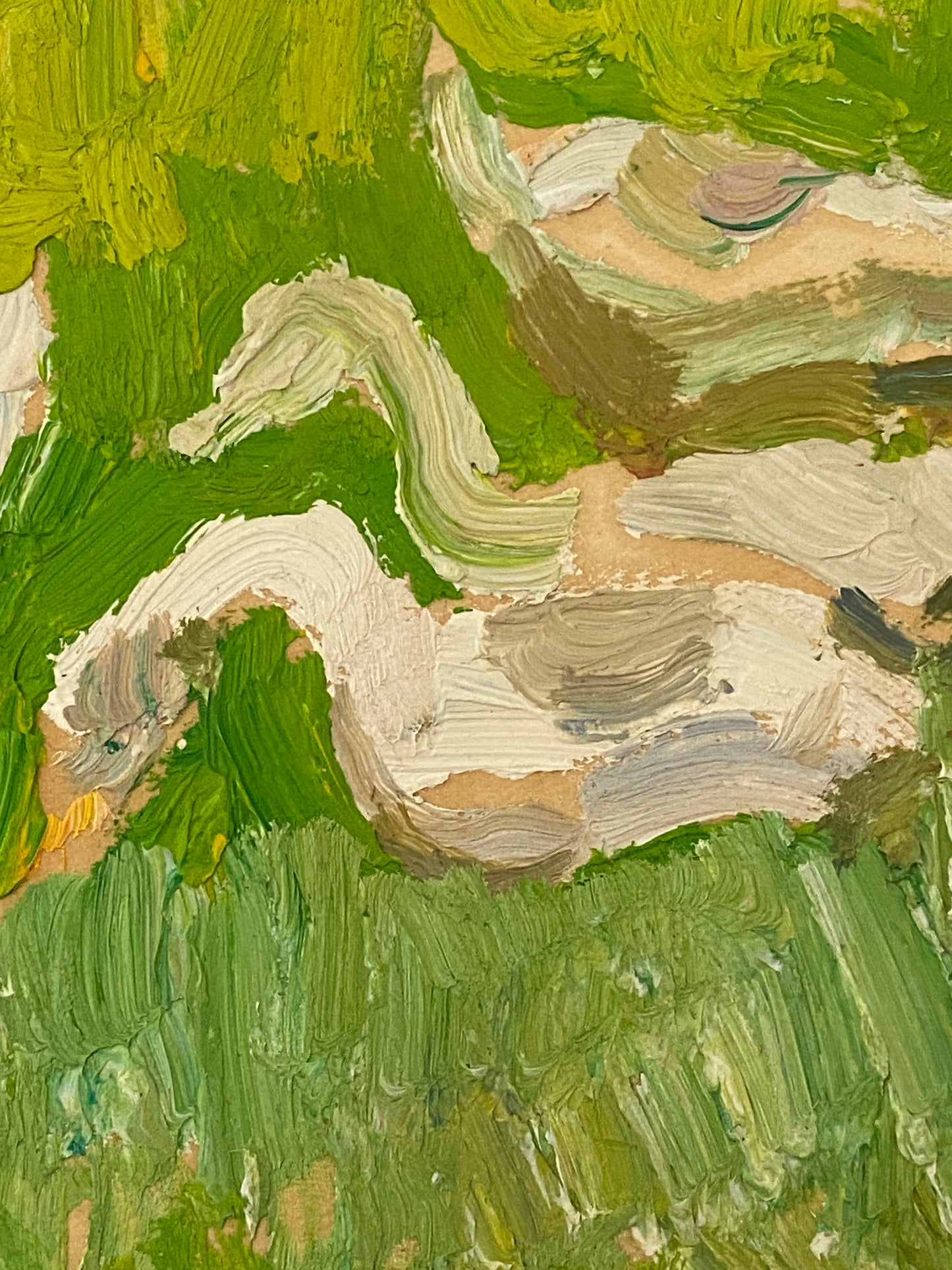 Gänse. 1980er.