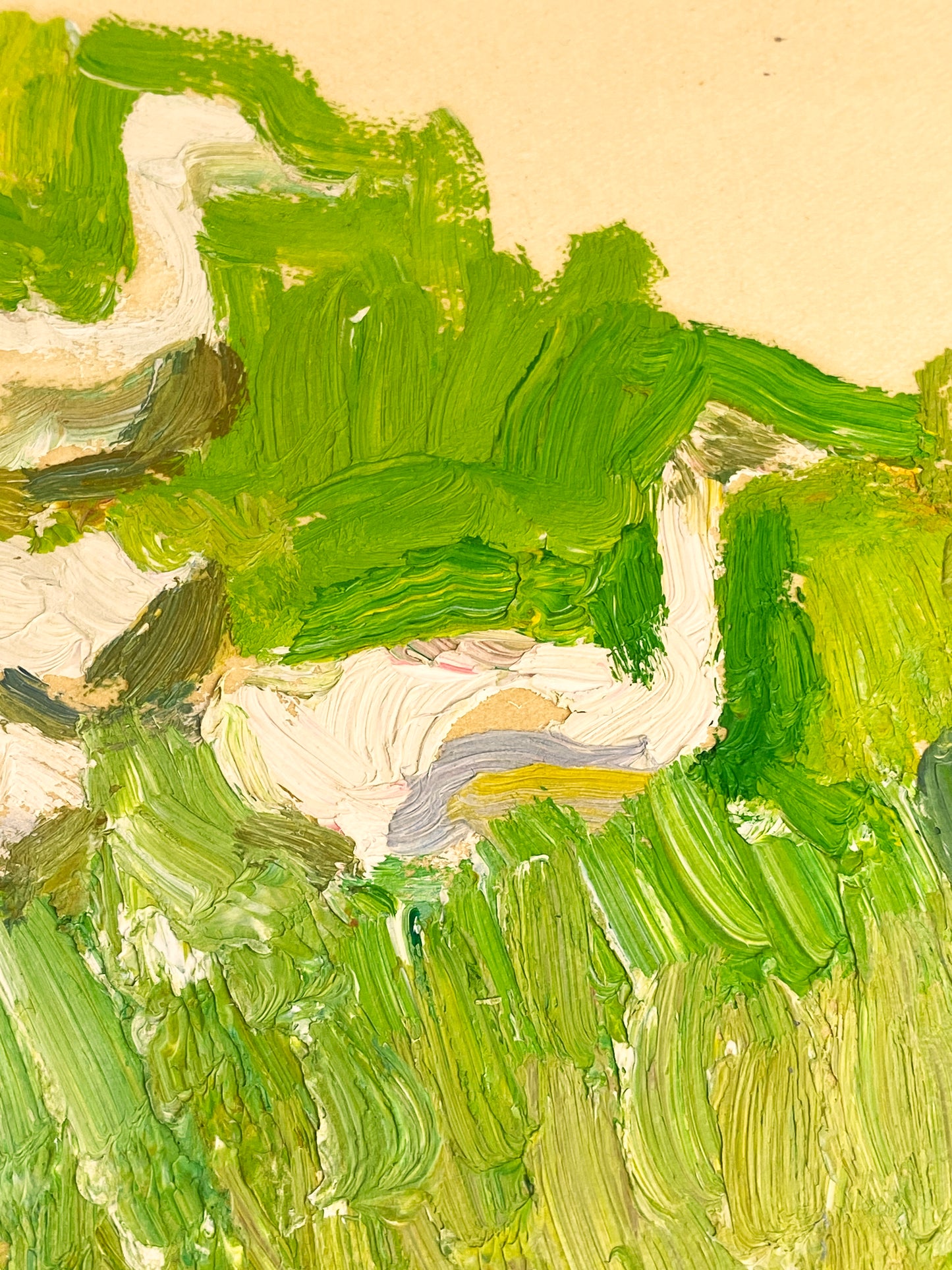 Gänse. 1980er.