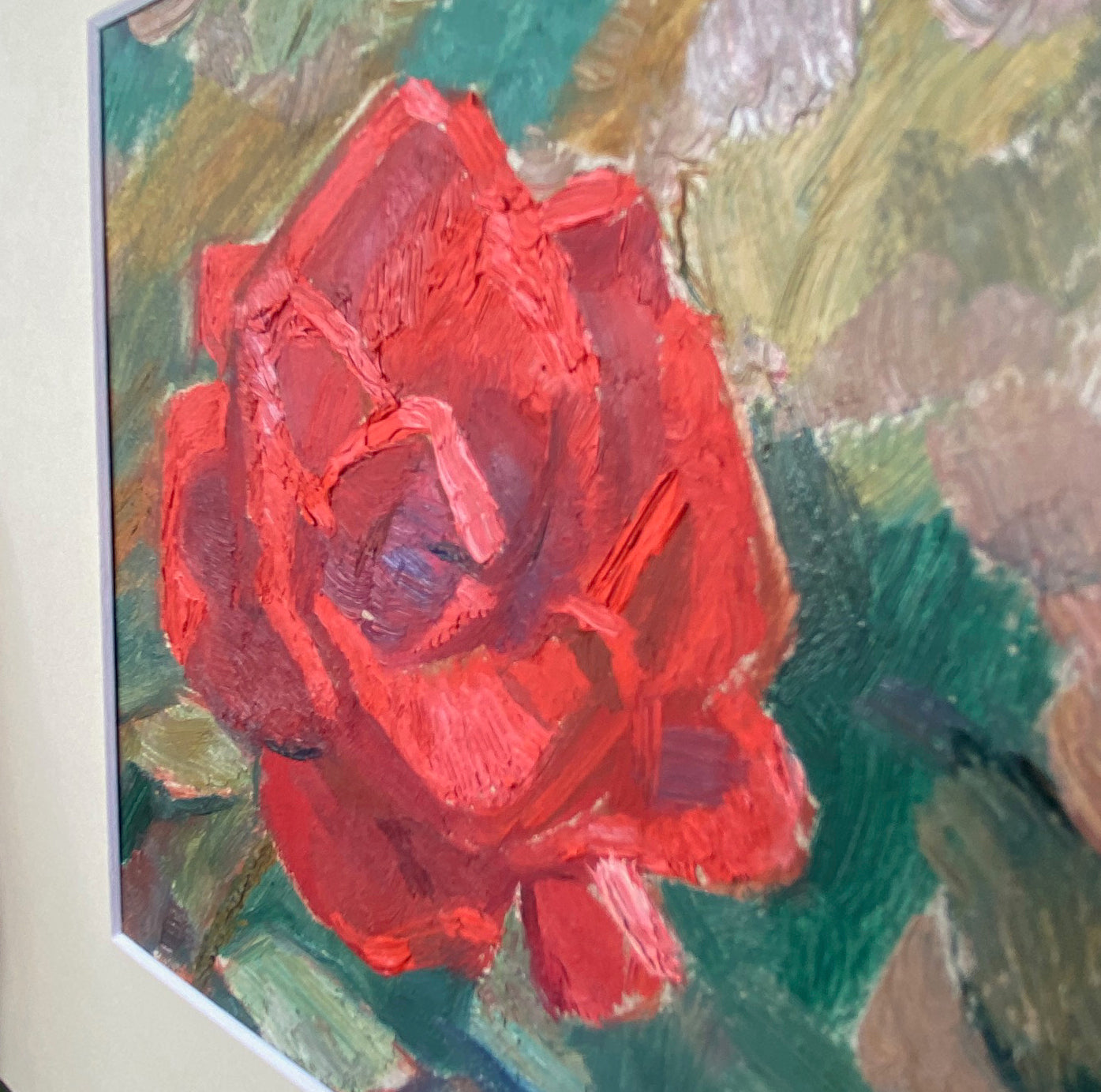 Landscape red rose in the garden. 1961.
