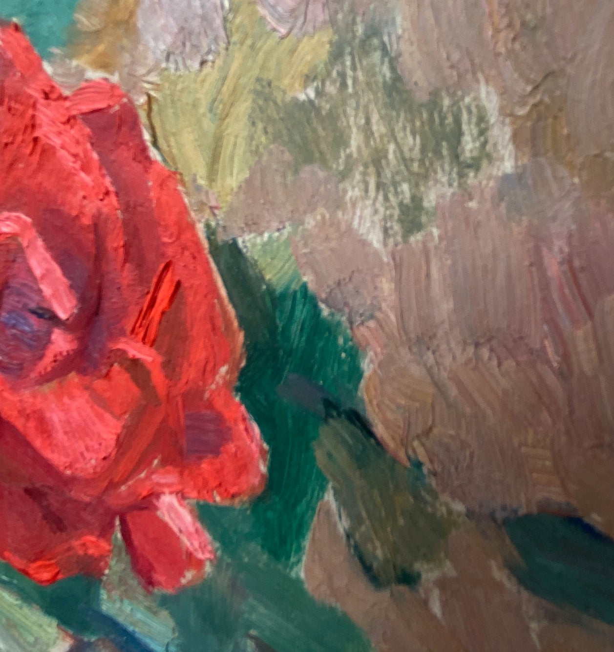 Landscape red rose in the garden. 1961.