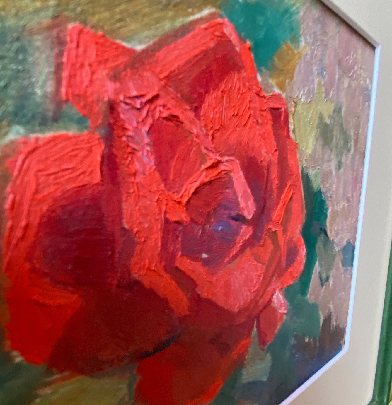 Landscape red rose in the garden. 1961.