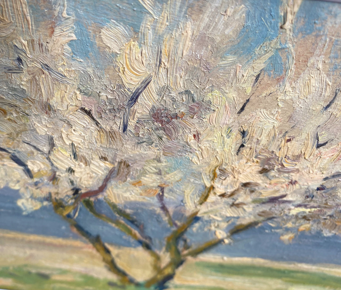 Landscape blossom tree on the river bank. 1951.