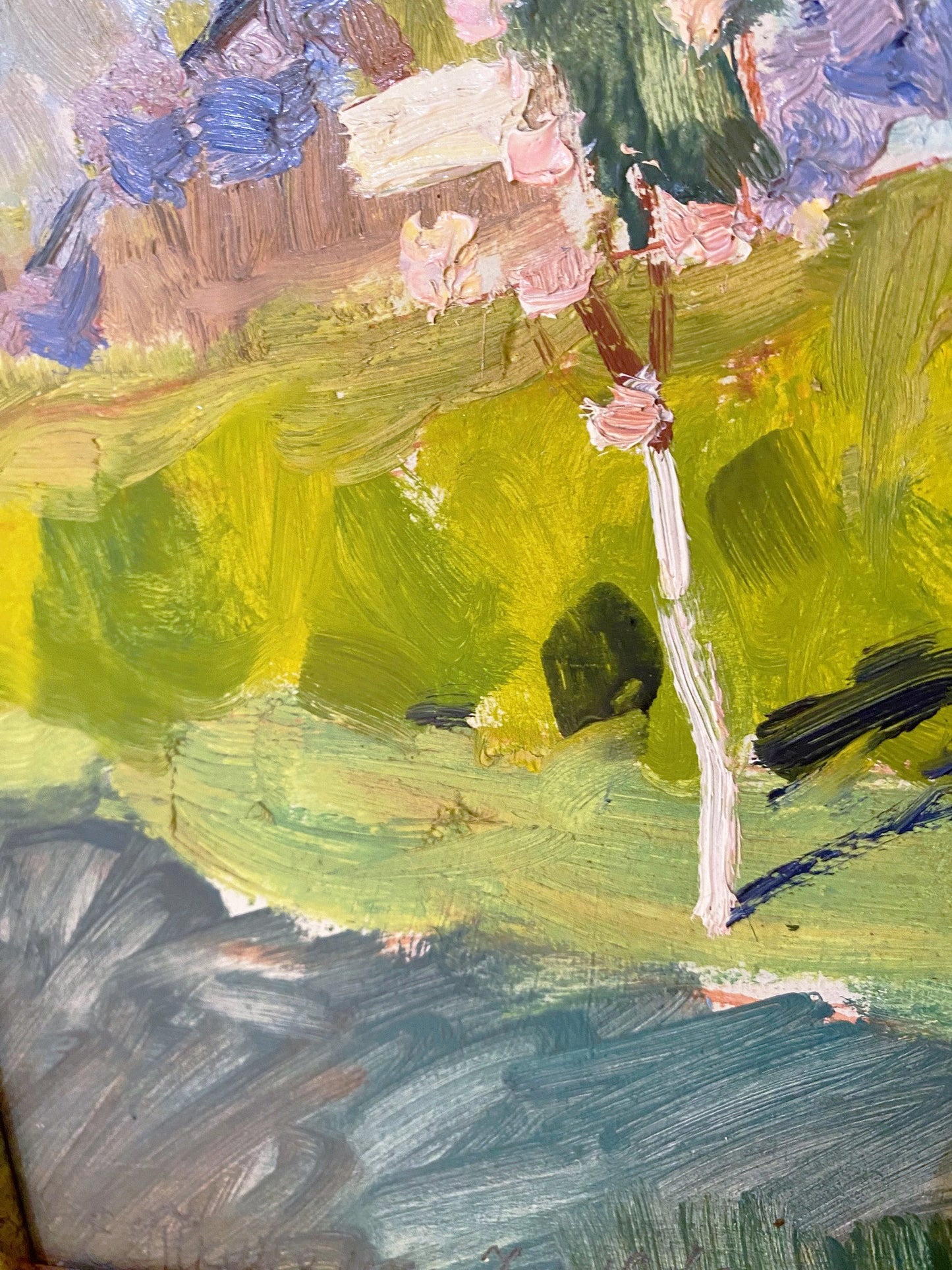Frühlingslandschaft mit blühenden Bäumen in der Stadt. 1962.