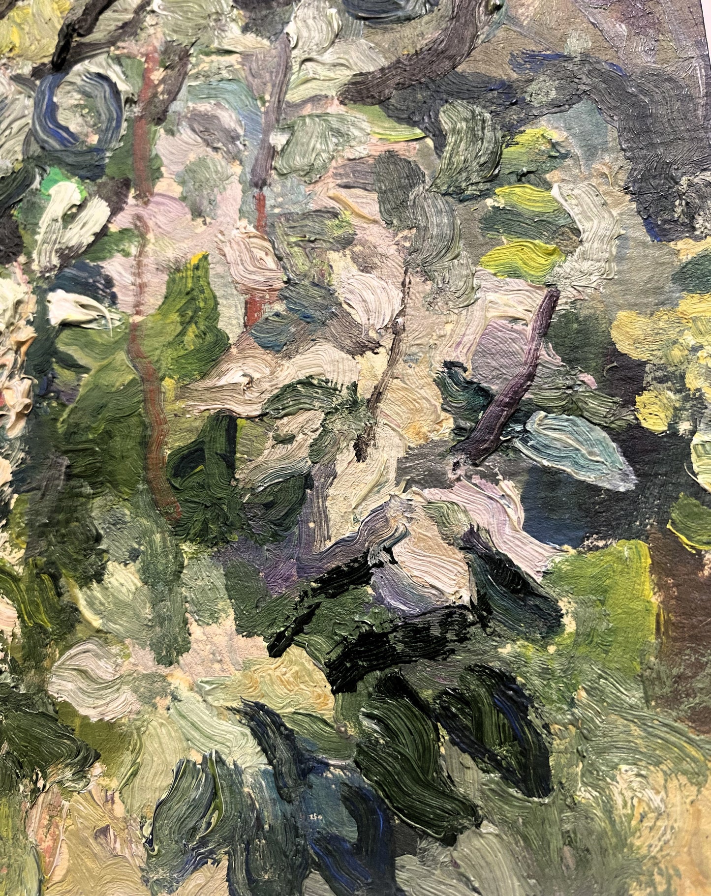 Lilies in the Garden. 1976.