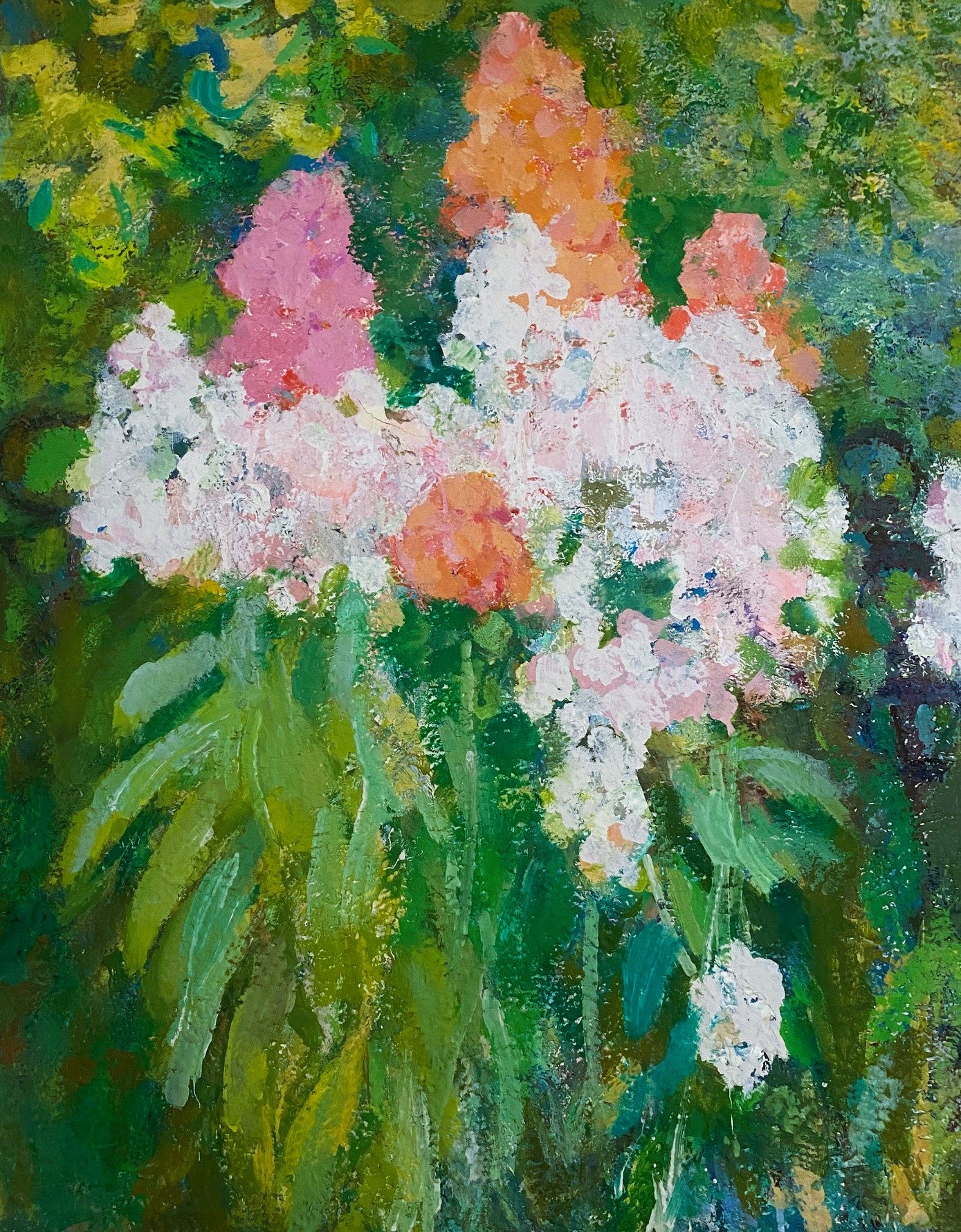 Bunte Phloxe im Garten. 1998.