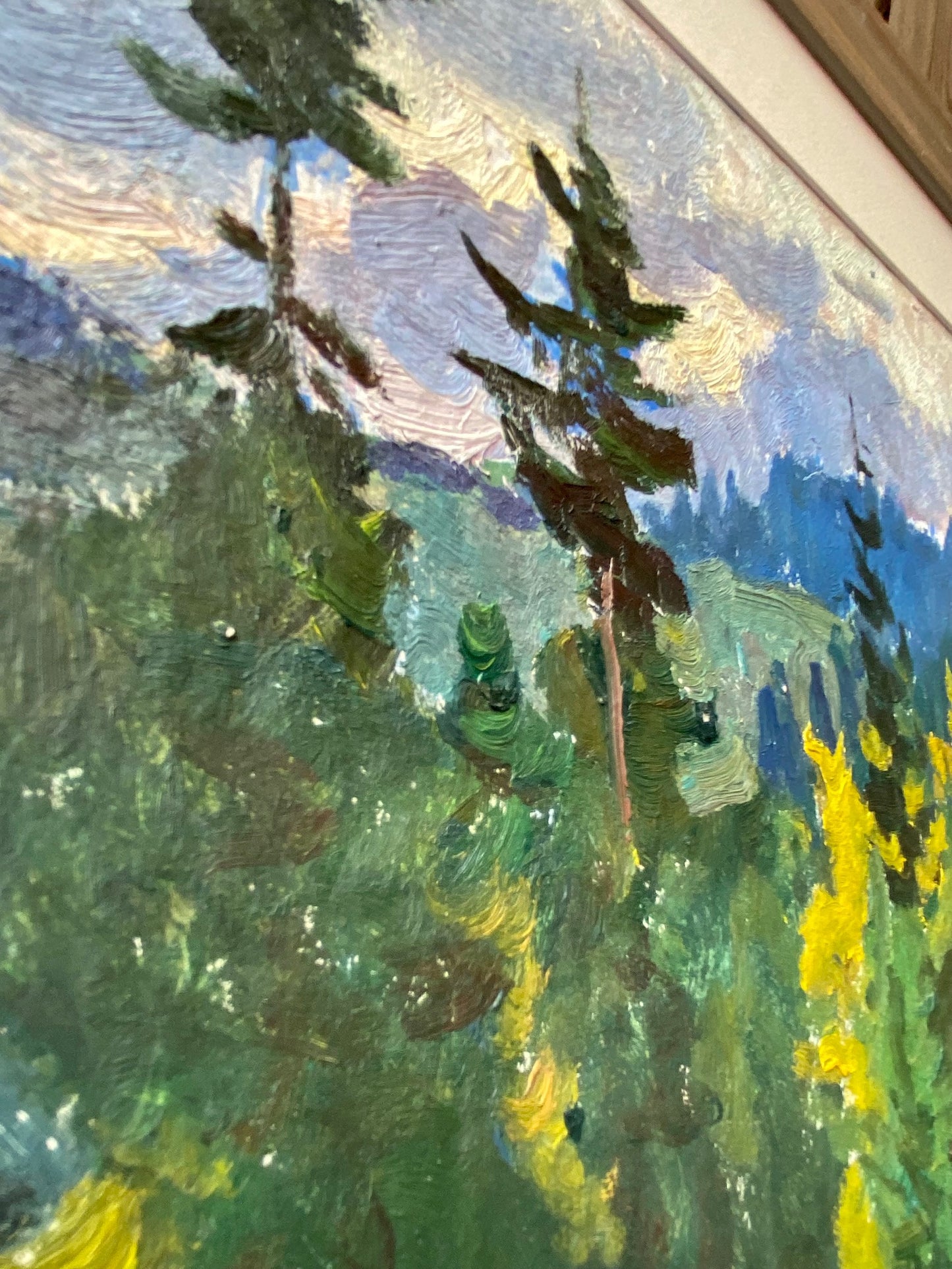Landscape with trees and mountains. 1970s.