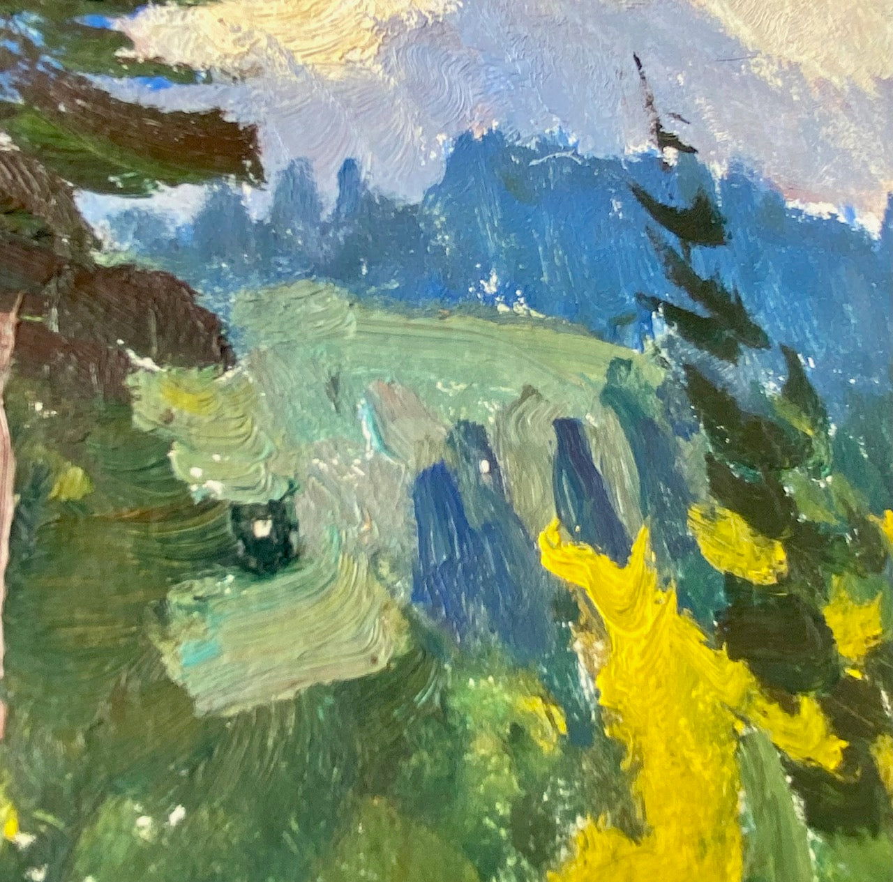 Landscape with trees and mountains. 1970s.