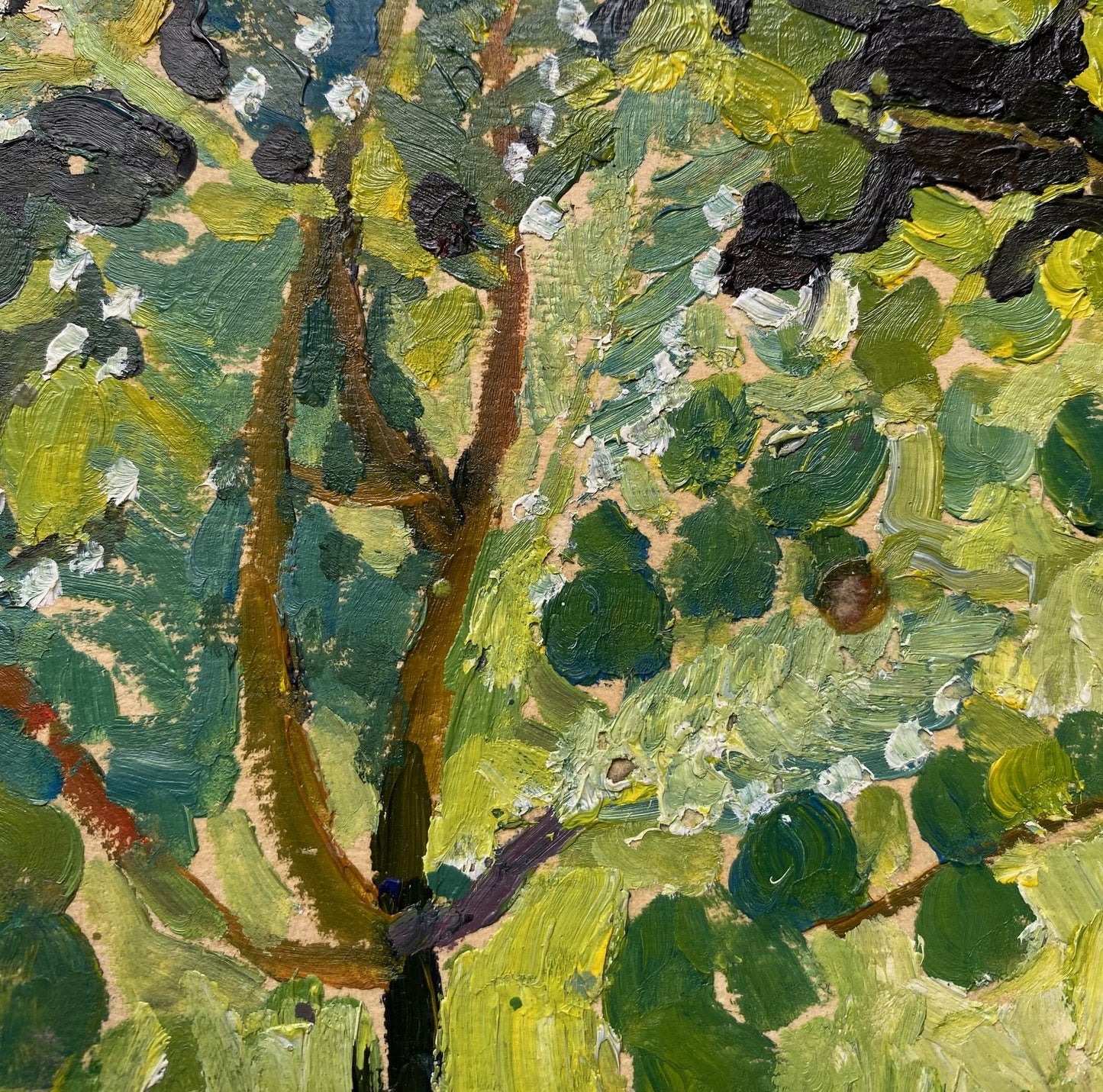 Grüne Waldlandschaft. Ungefähr 1980er Jahre.