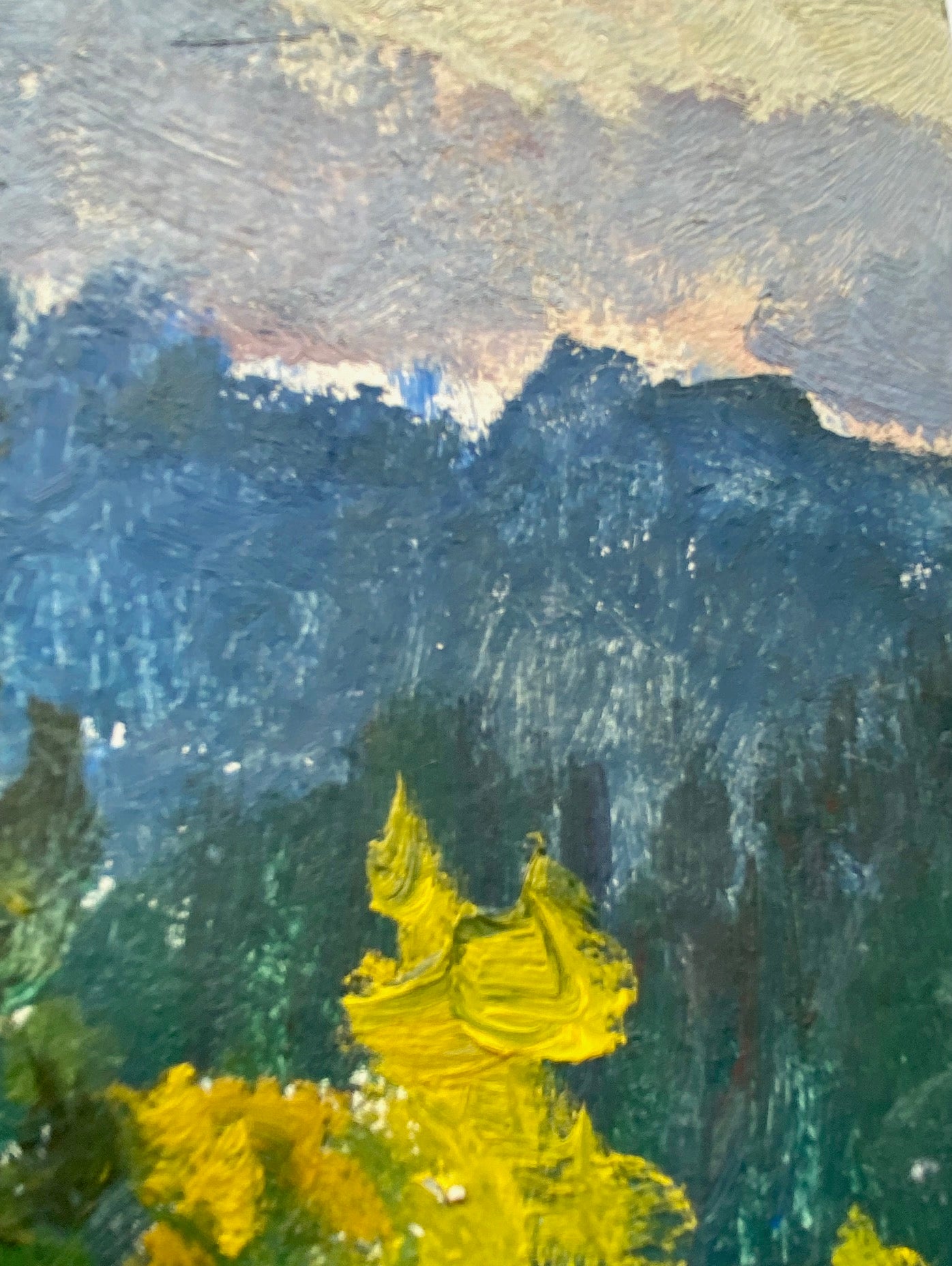 Landscape with trees and mountains. 1970s.