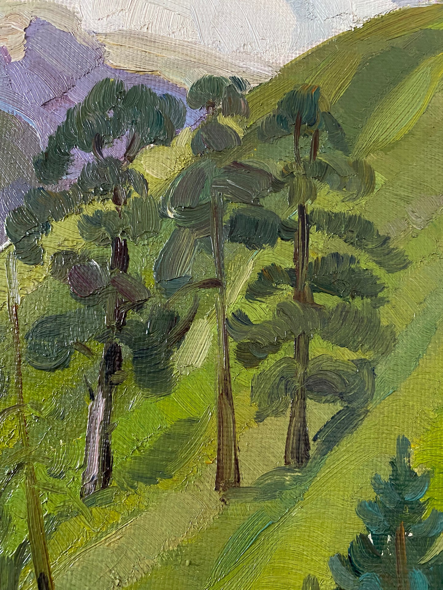 Ukrainische Berglandschaft. 1970s.