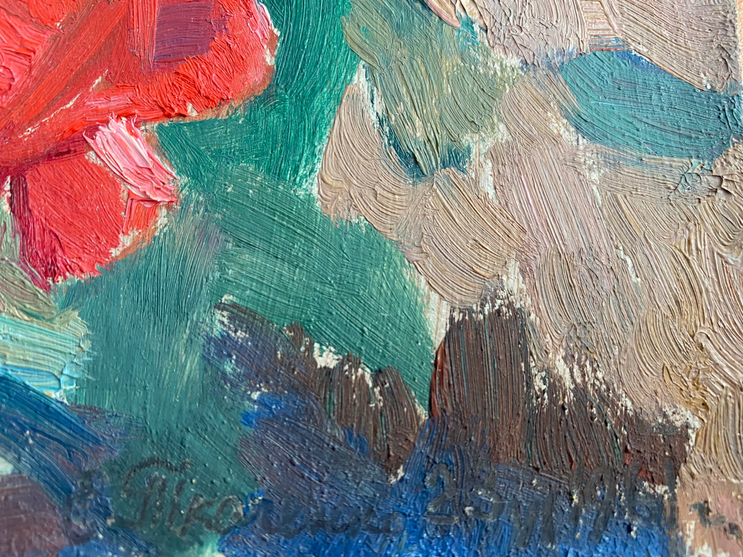 Landscape red rose in the garden. 1961.