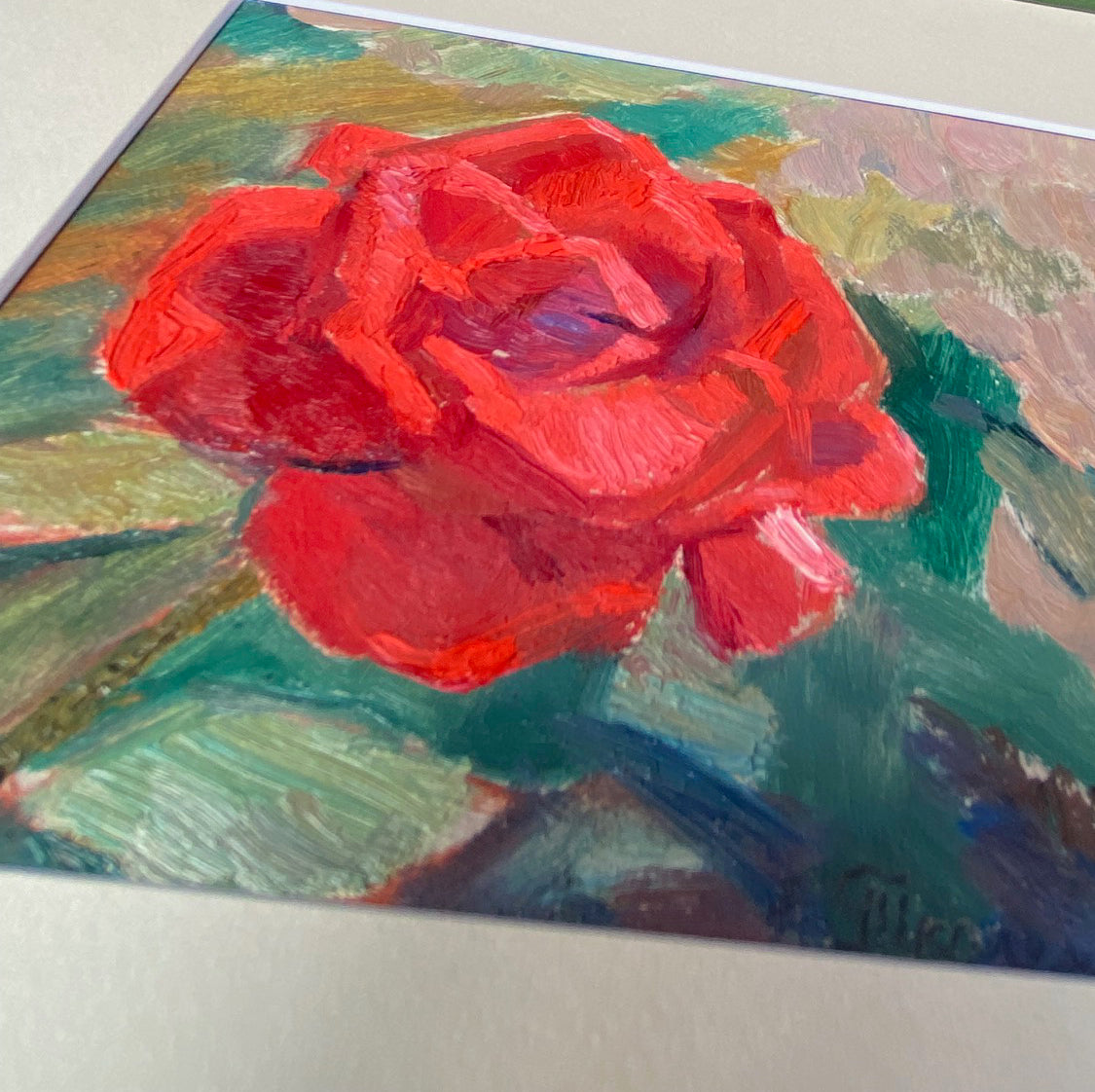 Landscape red rose in the garden. 1961.