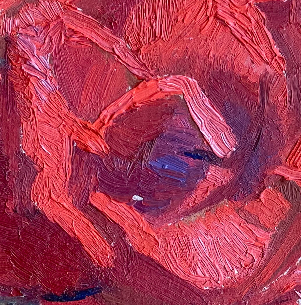 Landscape red rose in the garden. 1961.