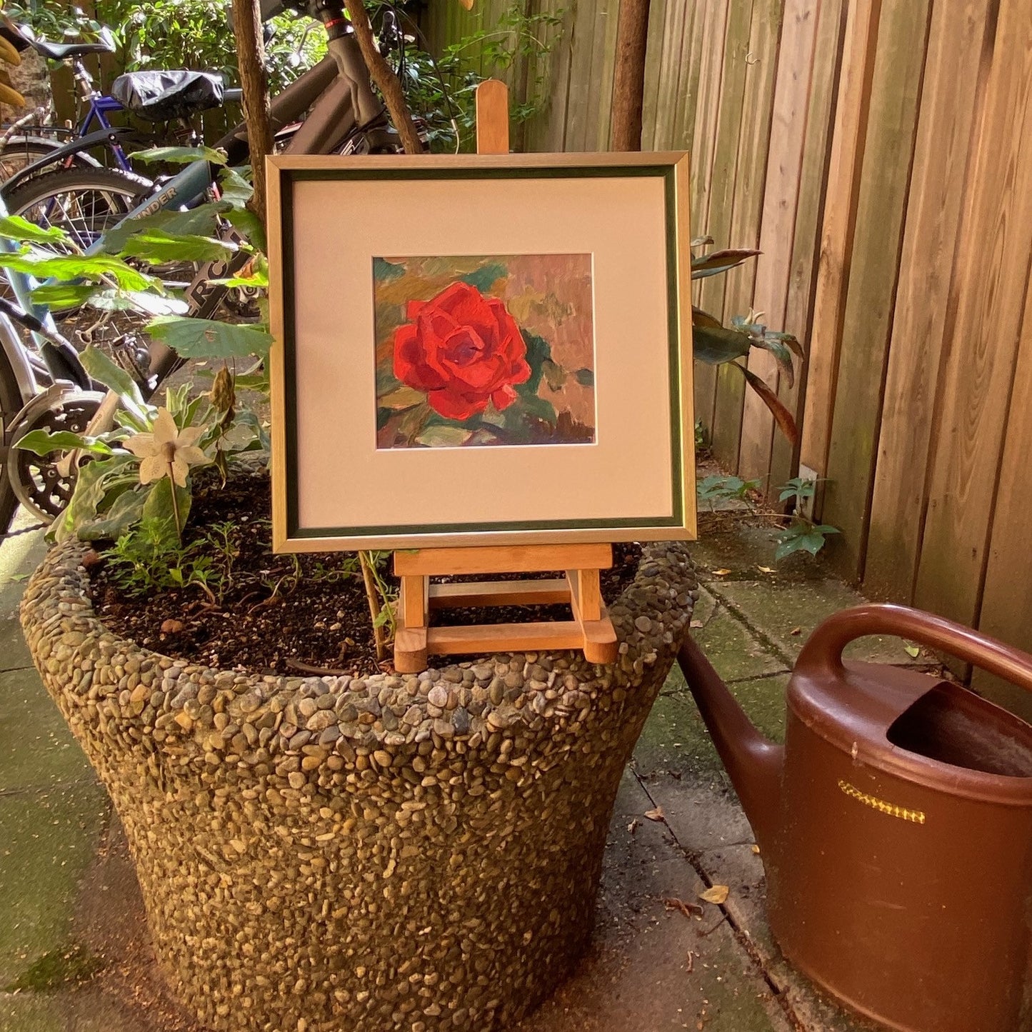 Landscape red rose in the garden. 1961.