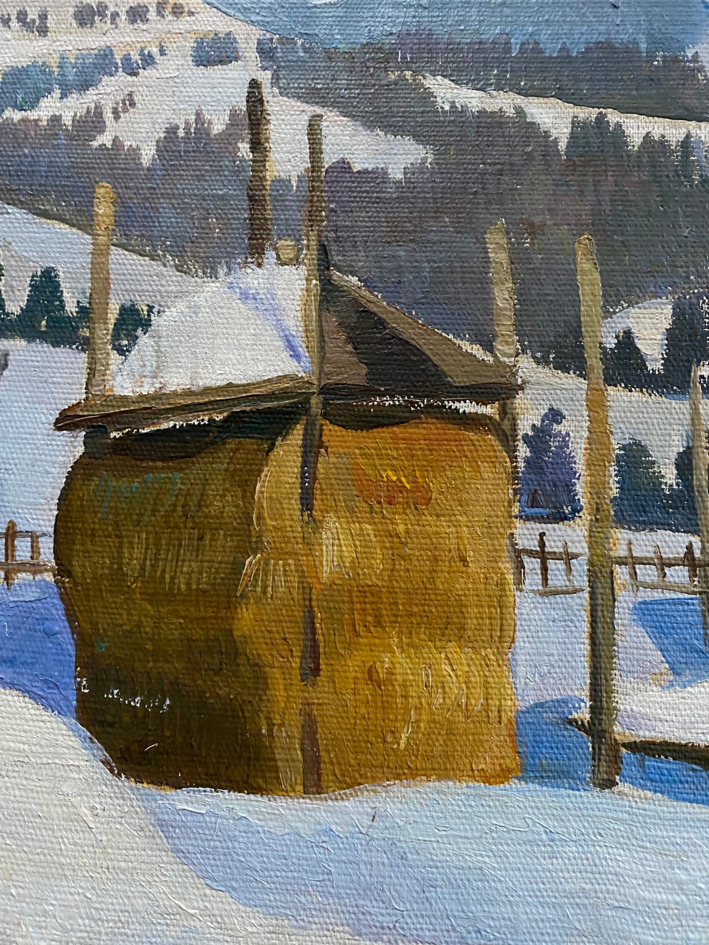 Winter im Dorf von Karpaty. 1970er.