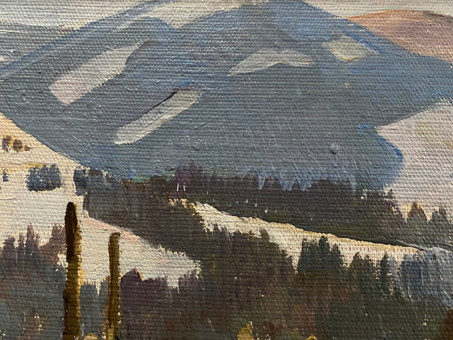 Winter im Dorf von Karpaty. 1970er.