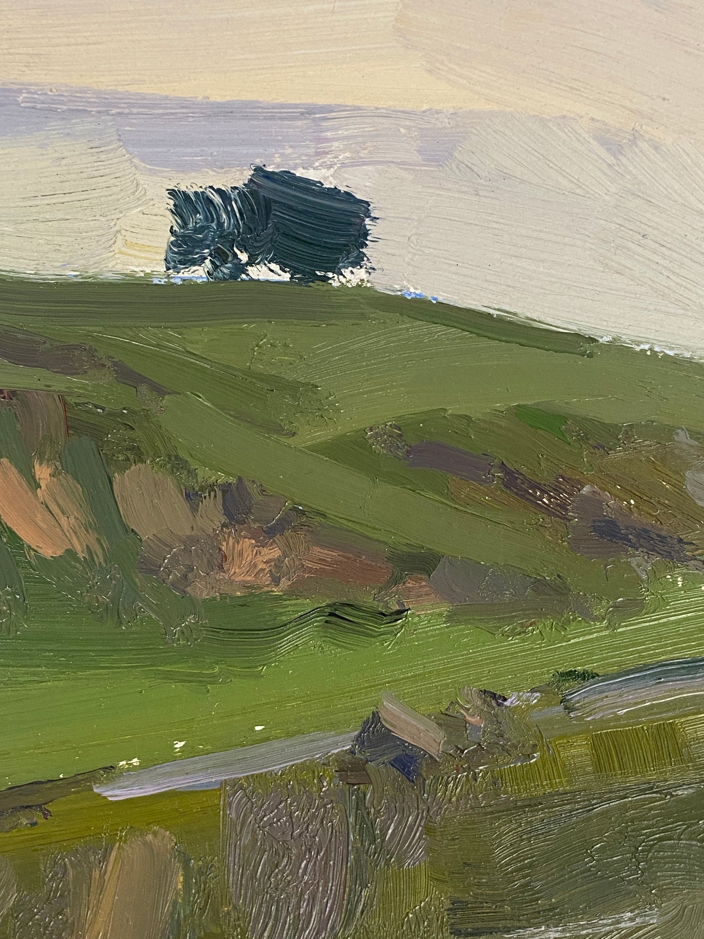 Flusslandschaft. 1970er Jahre.